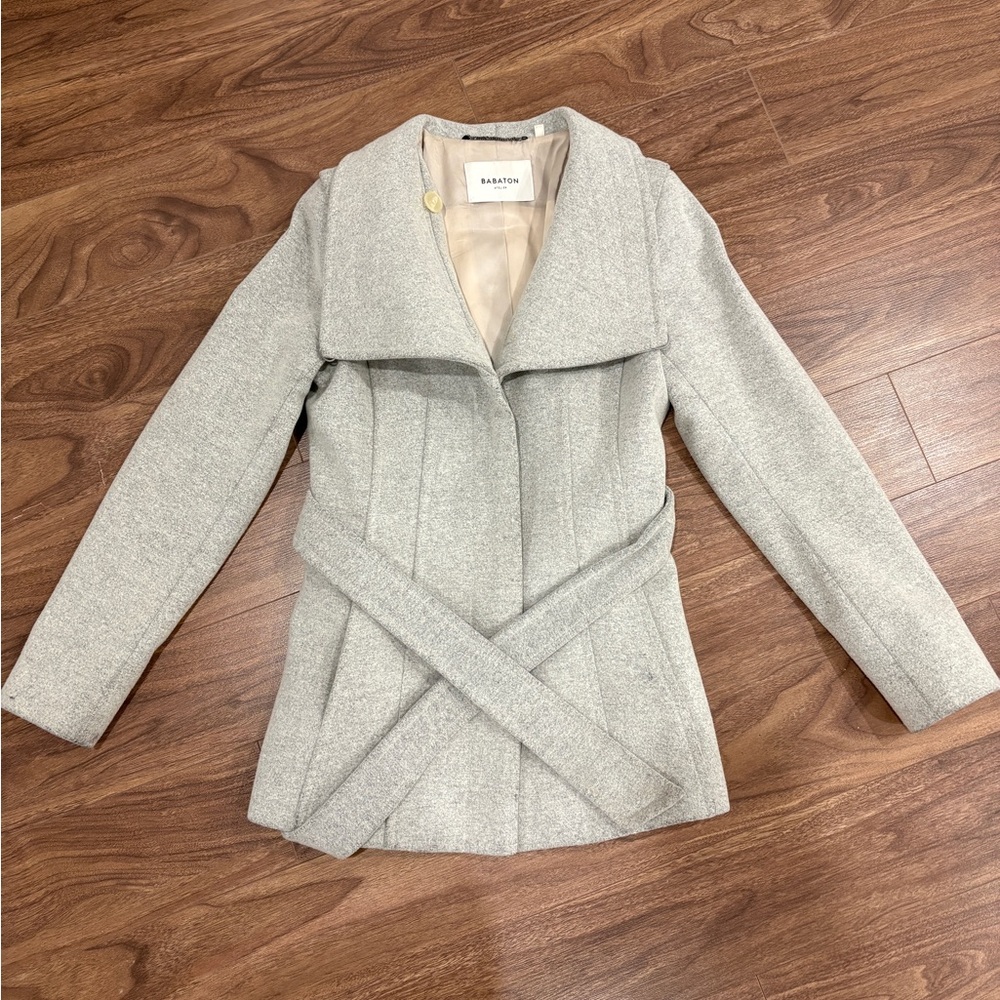 Aritzia Babaton Spencer Wool Coat